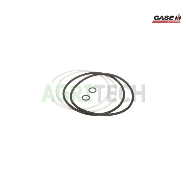 BN314703 - Комплект уплотнений, CASE IH