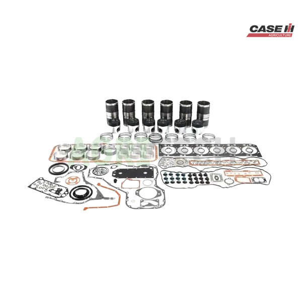 73327179 - Ремкомплект двигуна, CASE IH