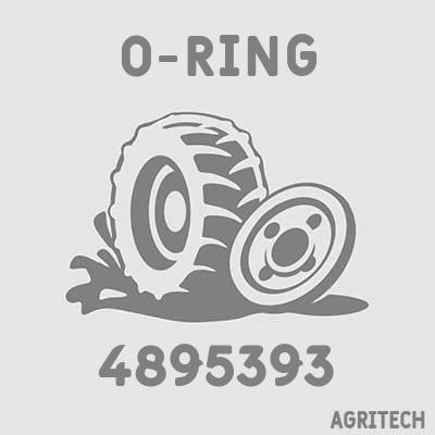 4895393 - Кільце, CASE IH