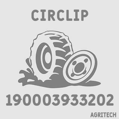 190003933202 - Кільце стопорне, CASE IH