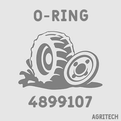 4899107 - Кільце, CASE IH