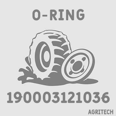 190003121036 - Кольцо, CASE IH