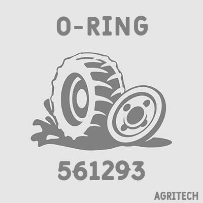 561293 - Кольцо, CASE IH