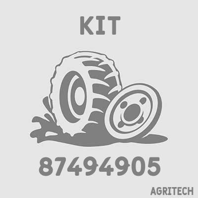 87494905 - Комплект (підшипник, шайби), CASE IH