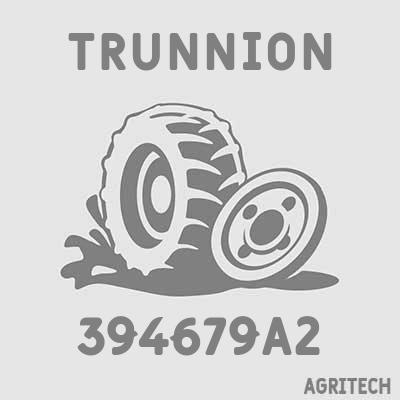 394679A2 - Цапфа, CASE IH