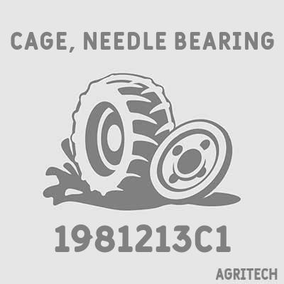 1981213C1 - Корпус подшипника, CASE IH