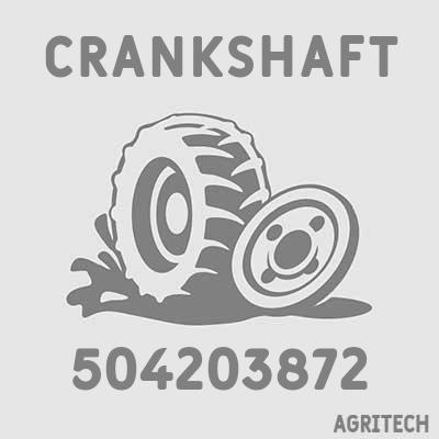 504203872 - Вал колінчатий, CASE IH