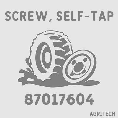 87017604 - Винт, CASE IH
