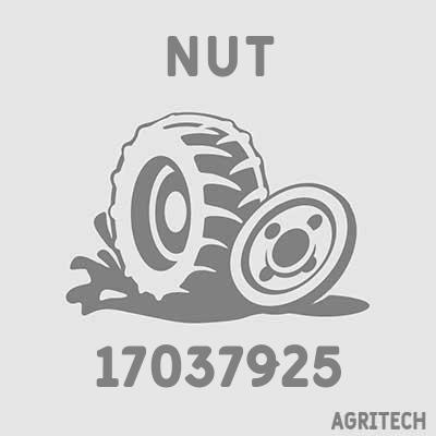 17037925 - Гайка, CASE IH