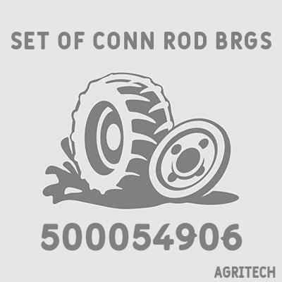 500054906 - Комплект вкладишів шатунних, CASE IH