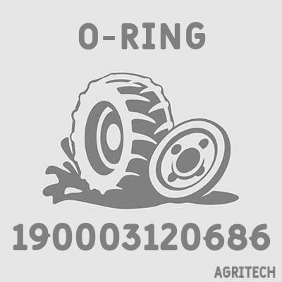 190003120686 - Кільце, CASE IH