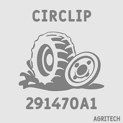 291470A1 - Кільце стопорне, CASE IH