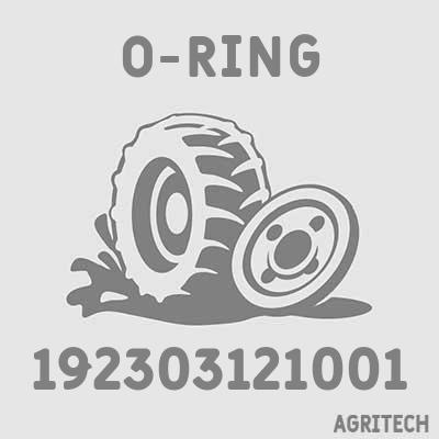 192303121001 - Кільце, CASE IH