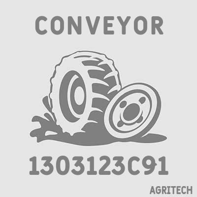 1303123C91 - Скребок елеватора колосового, CASE IH