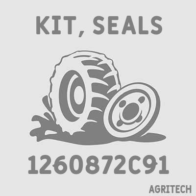 1260872C91 - Набір ущільнень, CASE IH