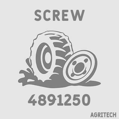 4891250 - Болт, CASE IH