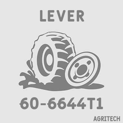 60-6644T1 - Рычаг, CASE IH