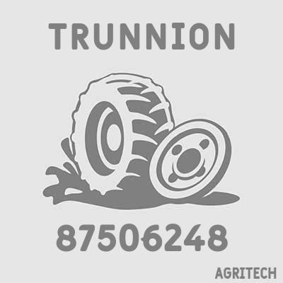 87506248 - Упор пружини, CASE IH