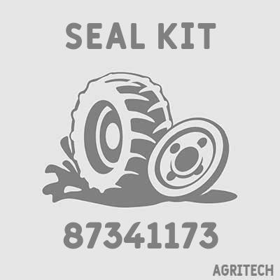 87341173 - Ремкомплект насоса дозатора, CASE IH
