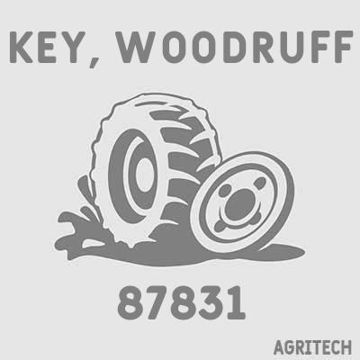 87831 - Шпонка, CASE IH