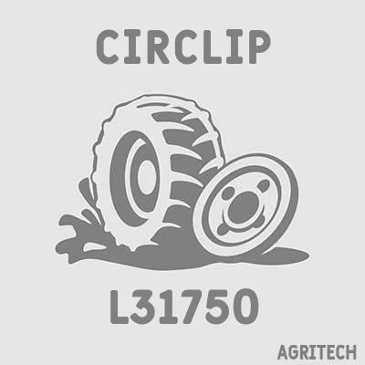 L31750 - Кільце стопорне, CASE IH