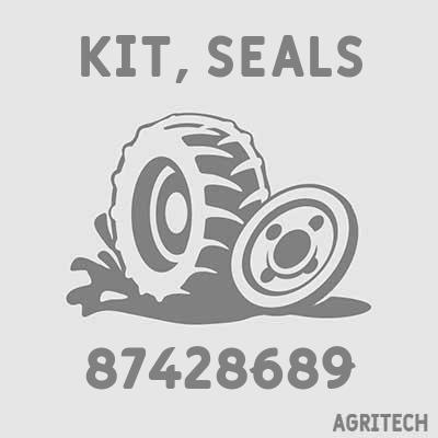 87428689 - Комплект кілець ущільнювальних, CASE IH