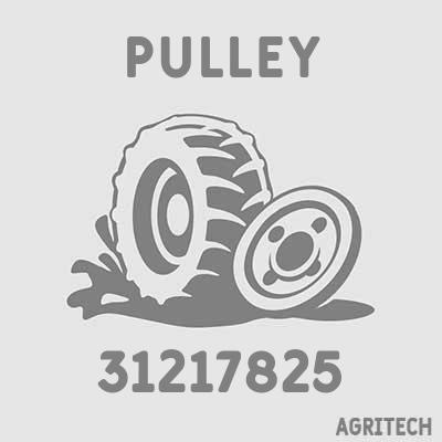31217825 - Шкив, CASE IH