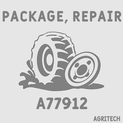 A77912 - Комплект поршневой, CASE IH