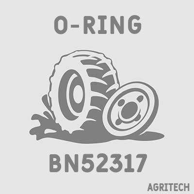BN52317 - Кільце, CASE IH