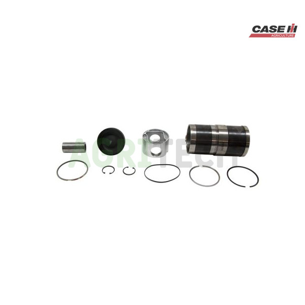 87685905 - Комплект поршневой, CASE IH